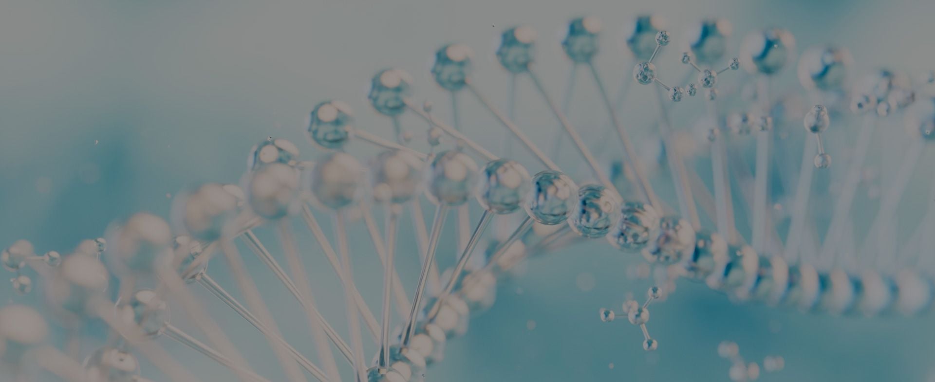 Proyecto WorldPathol