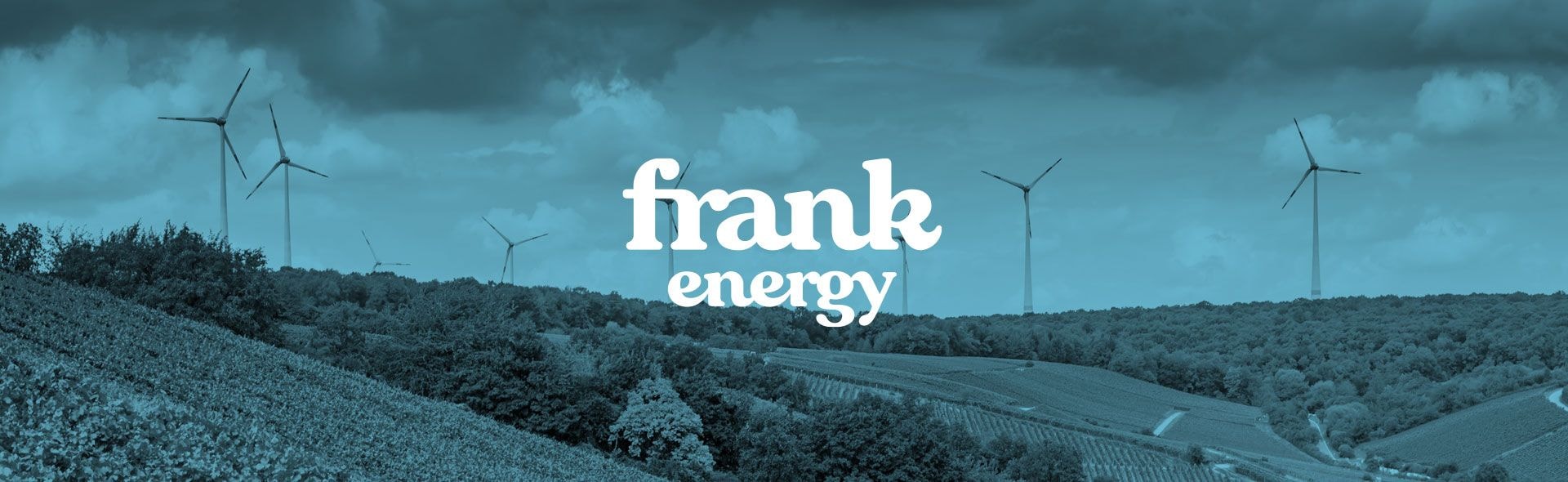 Frank Energie, energía inteligente