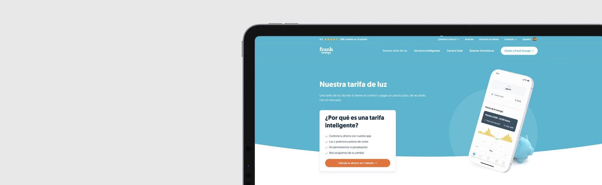 Proyecto Frank Energie